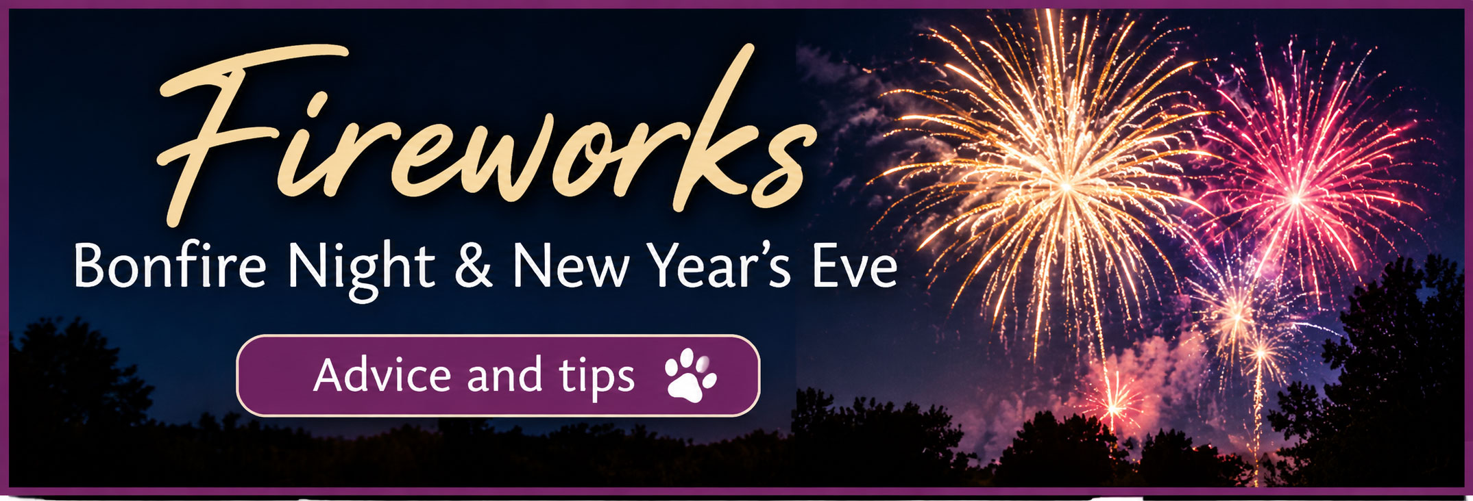 Fireworks - Bonfire Night and New Year's Eve advice