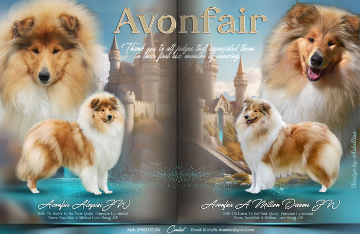 Avonfair Rough Collies