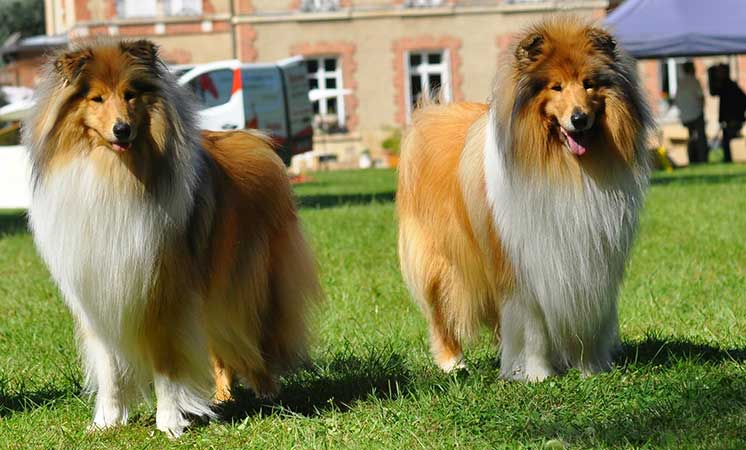 Troon and Eva