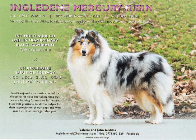 Ingledene Mercury Risin, Freddi