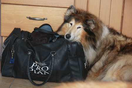 Shady with her show bag
