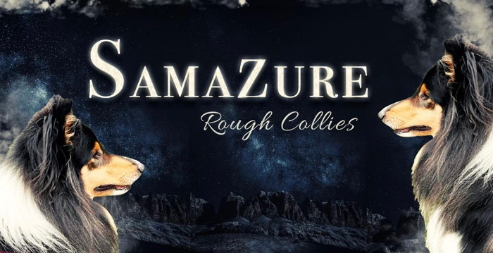 Samazure Rough Collies