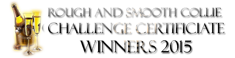 Challenge Certificate Winners 2015