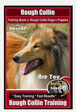 Rough Collie training book cover
