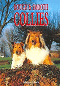Rough and Smooth Collies by Stella Clark book cover