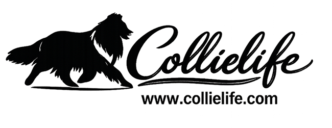 Collielife