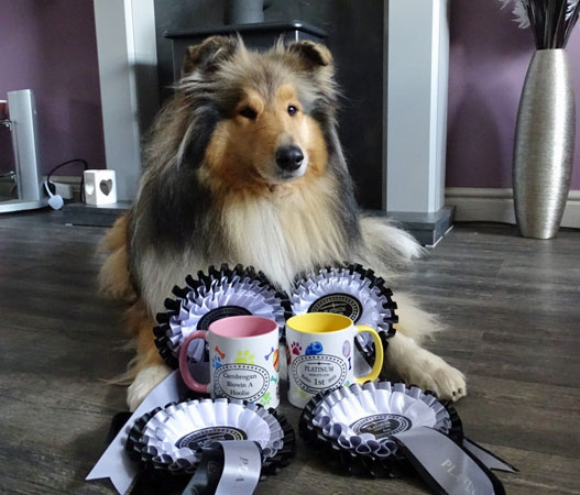Brooke with an agility award