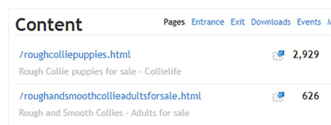 Collielife puppy and adult sales page viewing statistics