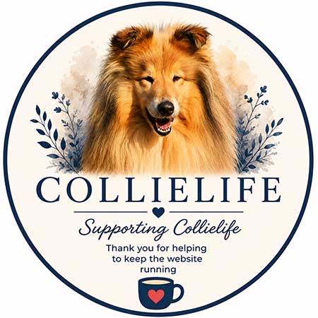 Pay your Collielife membership by Stripe